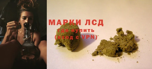 каннабис Новозыбков