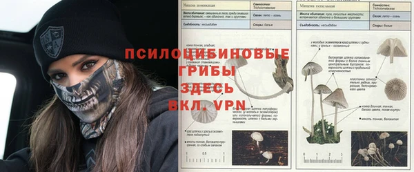 каннабис Новозыбков