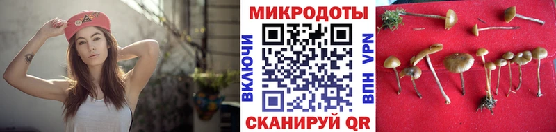 Купить где  Пролетарск  Псилоцибиновые грибы мухоморы 